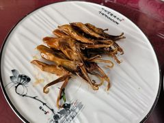 -鸭味飞飞