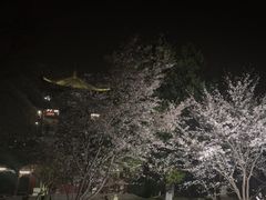 -堤角公园