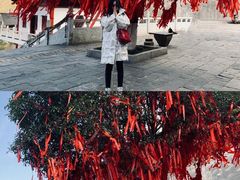 景点-萍乡武功山风景名胜区