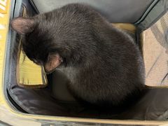 -中农大我爱我爱动物医院·核磁CT·猫病·24小时夜诊中心(石佛营店)