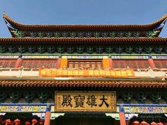 -南汇水蜜桃采摘(大团店)