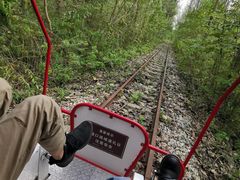 -合肥滨湖国家森林公园