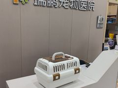 -瑞鹏宠物医院·骨外科·心肾科·肿瘤科(九亭店)