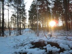 -北极村旅游风景区