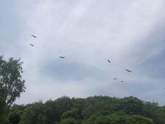 -哈尔滨北方森林动物园