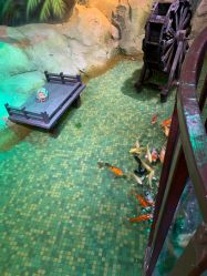 -酷嗒动物文化乐园(cutezoo西溪乐天城店)