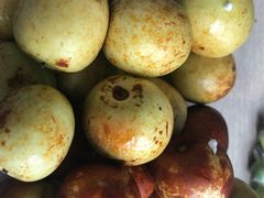 -再回头私房菜·老南京菜