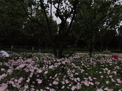 -汉长安城未央宫国家考古遗址公园