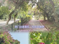 -广州市白云山风景名胜区