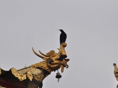 -大藏寺