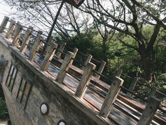 -青青世界