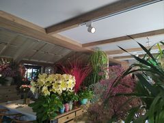 -春暖花开(西溪店)