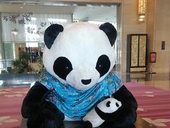 -成都保利公园皇冠假日酒店(熊猫基地店)