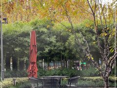 -杭州君悦酒店·青莳