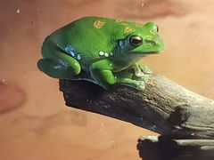 -杭州野生动物世界