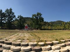 -千年银杏谷文化旅游区