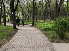 -玲珑塔公园