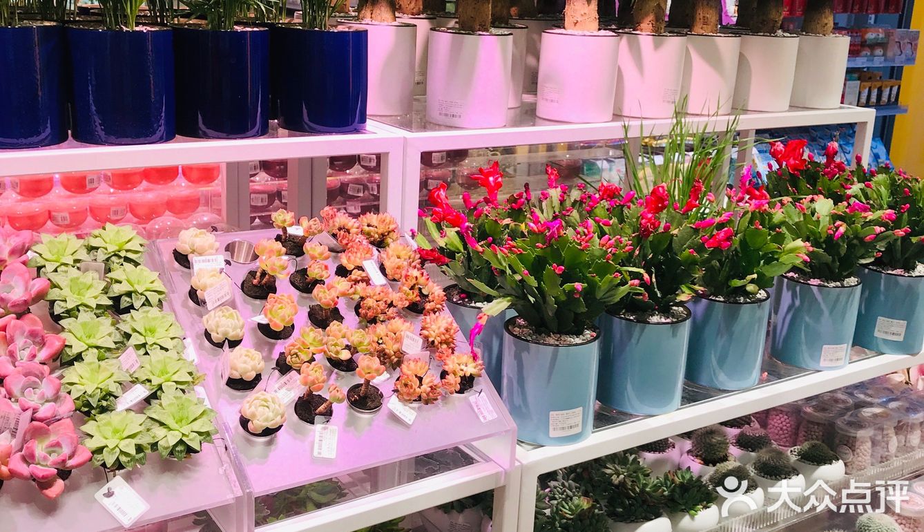真实评价网红店，仅适合拍照，购物一般