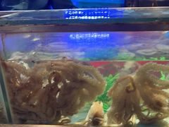 -V-ONE西雅图海鲜自助餐厅(仓山万达广场店)