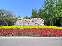 -东平国家森林公园