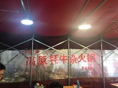 -金鼎雪山牦牛杂火锅(理县总店)