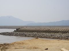 -北岐滩涂