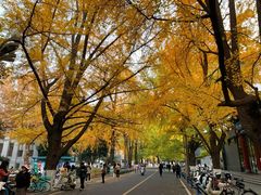 -四川大学(华西校区)