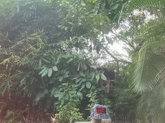 -台山颐和温泉城