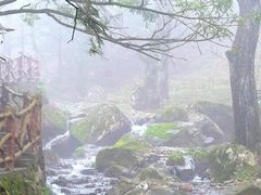 -浙北大峡谷