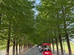 景点-嘉北郊野公园