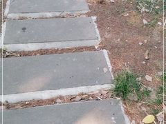 -中央公园(苏州工业园区)
