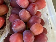 -马陆小张葡萄园农家乐