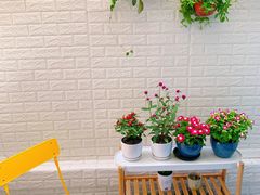 -双季花艺园艺市场(浦东店)