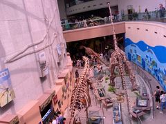 -陕西自然博物馆