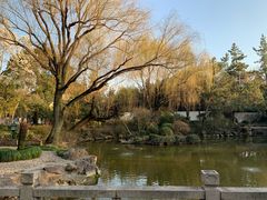 -秋霞圃