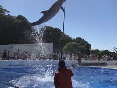 -西海国立公园九十九岛水族馆