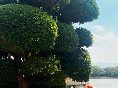 -建水文庙