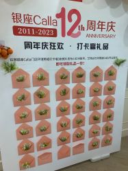 -银座Calla日式美容沙龙