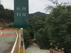 -远山有窑