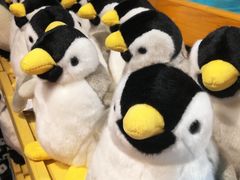 -海合安武汉极地海洋公园