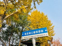 -阅江楼风景区