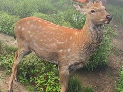 -萍乡武功山风景名胜区