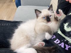 -iF摄影•全家福•证件照•形象照(南山店)