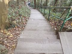 -宁波五龙潭景区