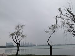 -渤公岛生态公园