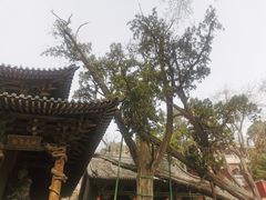 -晋祠公园