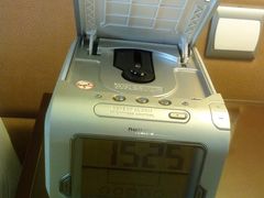 -上海波特曼丽思卡尔顿酒店