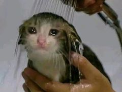 -江渔儿酸菜鱼(港湾1号店)