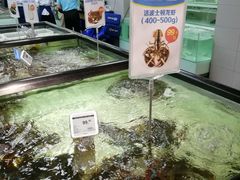 -盒马渔市餐厅