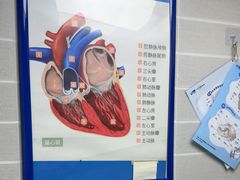 -芭比堂动物医院·心脏科·老年急重症·夜诊·吉雅分院